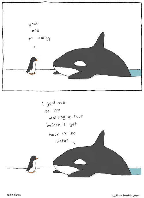 brownfatfemme:  mylifeaskriz:  ruineshumaines:  Liz Climo on Tumblr.  this really cheered me up  made me smile and i hope its makes some of you smile too :)