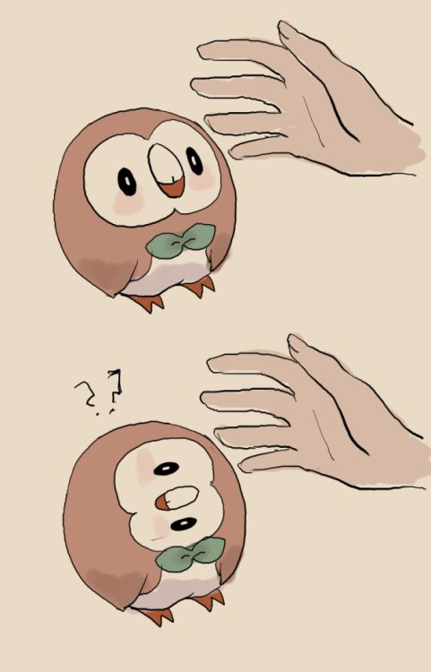 satsuki-ut: I just want to tease Rowlet. kawaii.