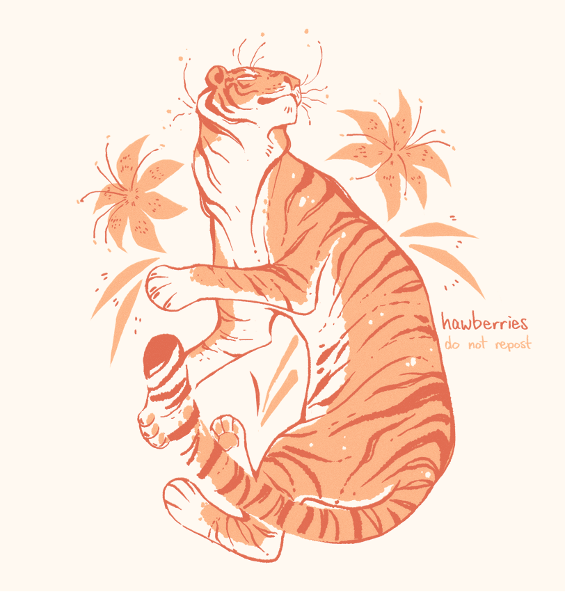 hawberries:tiger / lily