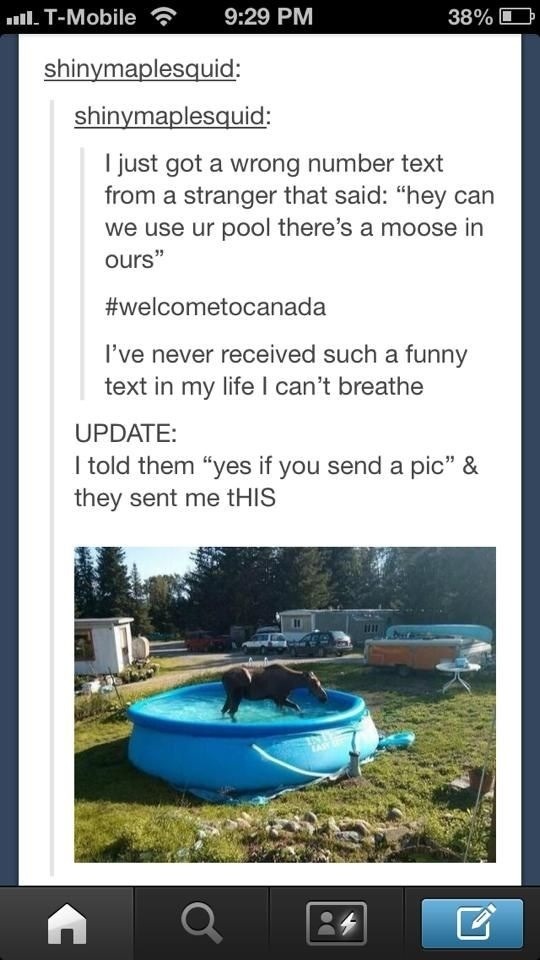 advice-animal:  #Welcometocanadaadvice-animal.tumblr.com  lmao, its a TEENY weeny