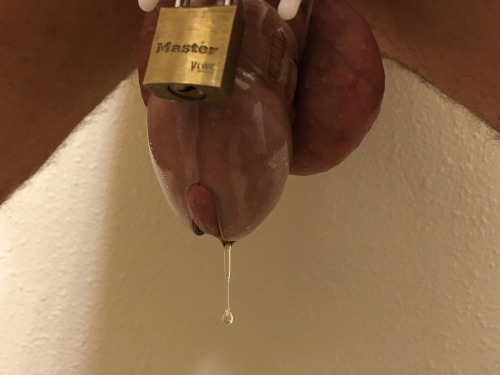 Chastity SLAVE in Japan