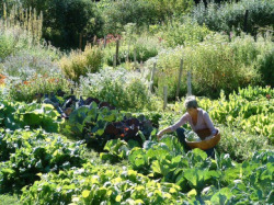 “The therapeutic effect of gardening is not to be underestimated. It’s one of the best ways to get back to nature and feel a union with the natural environment that surrounds us. The garden can be large or small – it doesn’t matter. The point