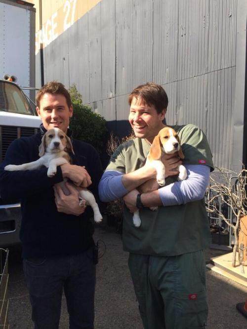 picklesandwine:  Ike Barinholtz + Animals (x)  Owley in a Towely (x)  Sea Dog (x)  Birdy in the Shirty (x)  And finally, puppy and dragons (x)