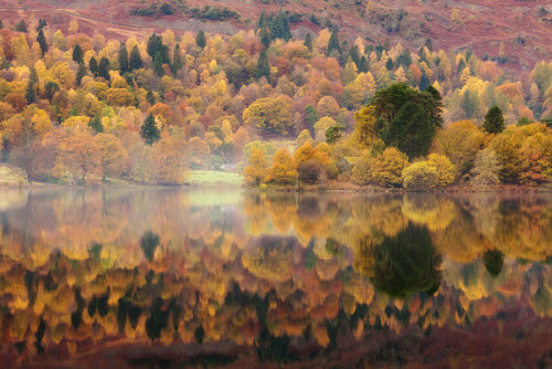 awkwardsituationist:  autumn reflections by david clapp in england’s lake district national park 
