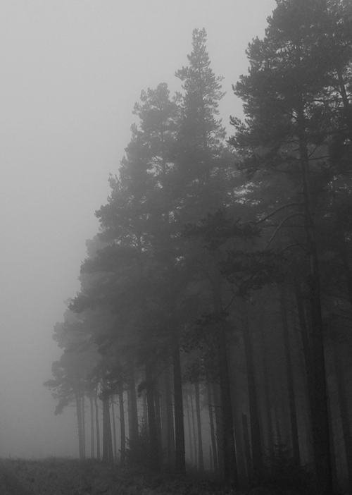 Elegy for a Dream