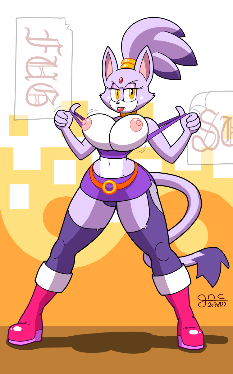 gyneceon: Fan art of Blaze the cat; my submission for the Slut Mania art jam held