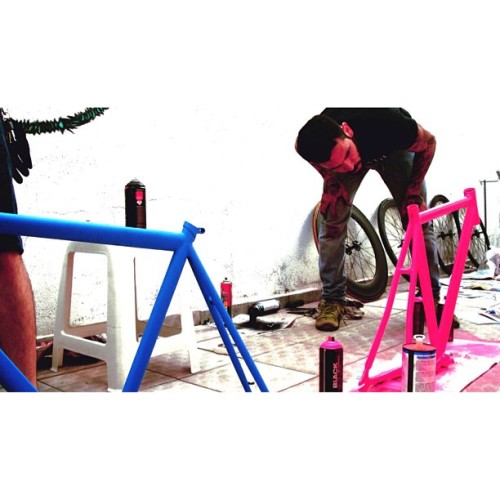 adalbertorossette:  Put some colors in your fucking life! #velodeath #2014 #fixedgear #fixie #vldt #