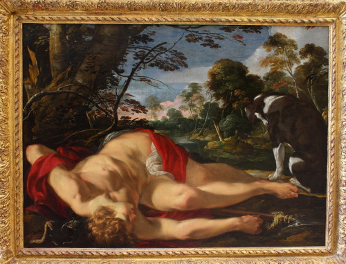 thisblueboy:Laurent de la Hyre (French, 1606 - 1656), Dead Adonis, 1624 - 1628, Louvre