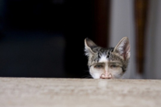 ((how’s eurovision I’m not watching it ?))