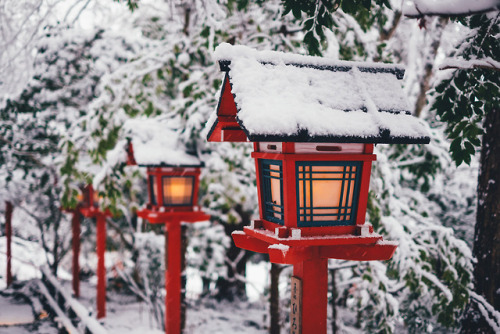 takashiyasui:Kifune-jinja