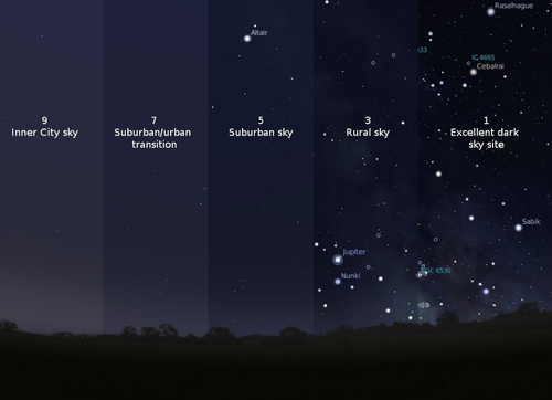 Gravitational Beauty