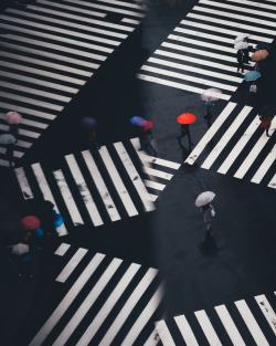 takashiyasui:Ginza, Tokyo