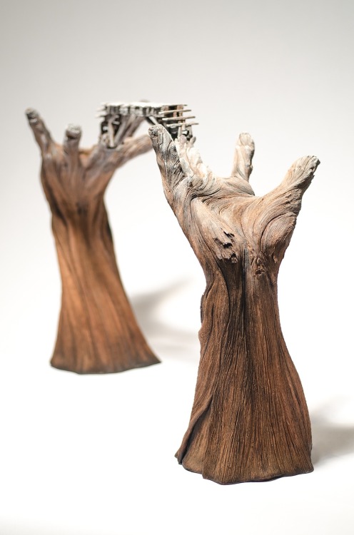 culturenlifestyle:Impressive Ceramic Sculptures by Christopher David White Look Like WoodSculpt