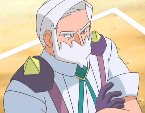 multiscales:  Opelucid Gym Leader and Dragon Master, Drayden 