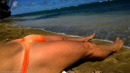 thong-jock:  Swimrman from spandex-party.com. adult photos