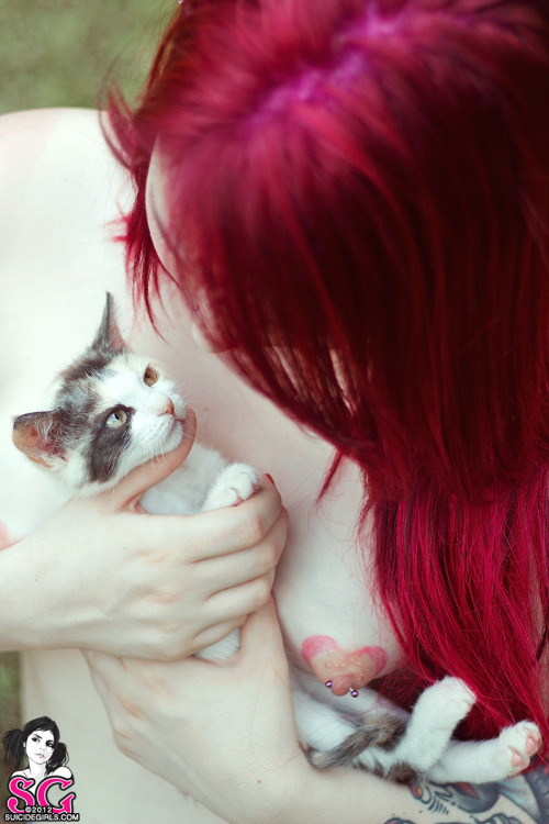 =^.^=