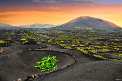 travelingcolors:  Lanzarote, Canary Islands | Spain (by Perico Terrades | Website)