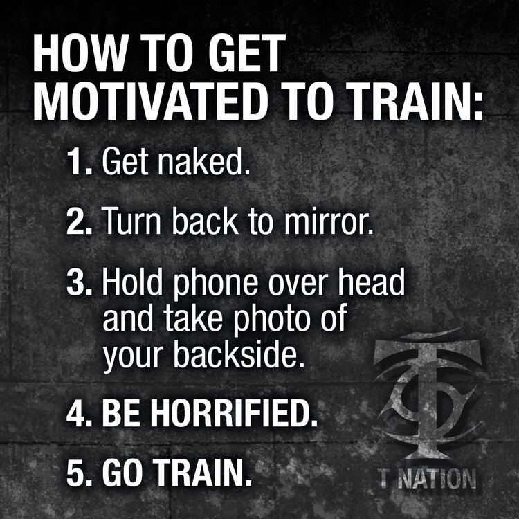 Alphadogg Fitness