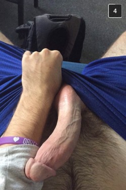 hot aussie cocks