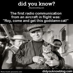 did-you-kno:  The first radio communication from an aircraft in flight was: “Roy, come and get this goddamn cat!” Source