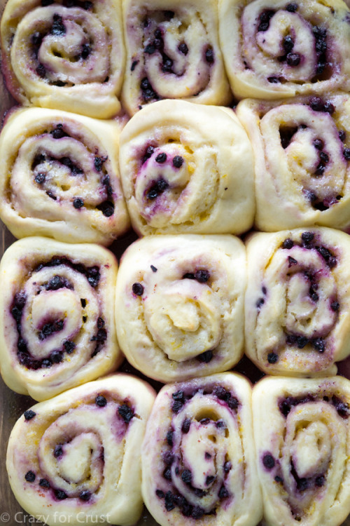 sweetoothgirl:  Lemon Blueberry Sweet Roll