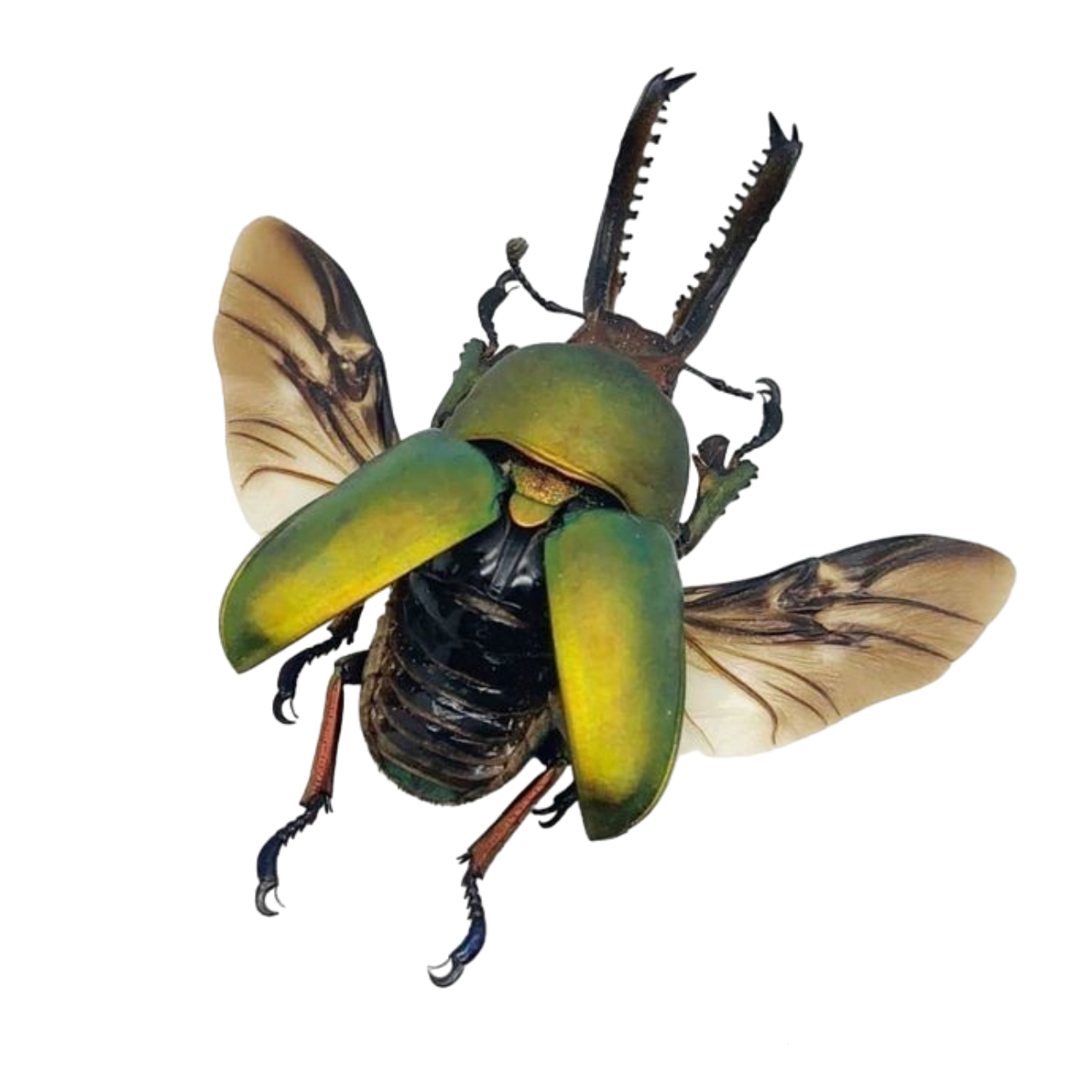 green critter