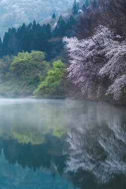 lsleofskye:  A Korean Icon | Nathaniel Merz