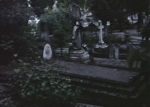 Corpse Bride~