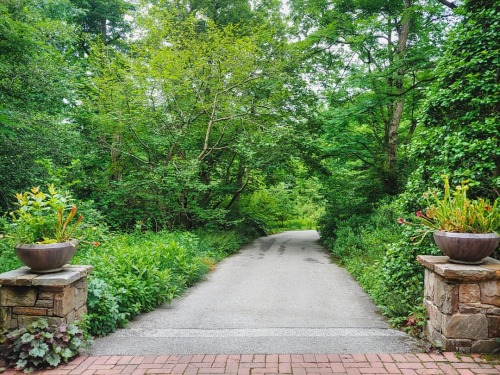 An entrance into Pierce&rsquo;s Woods at @longwoodgardens. #woods #greens #trees #path #gardenpath 