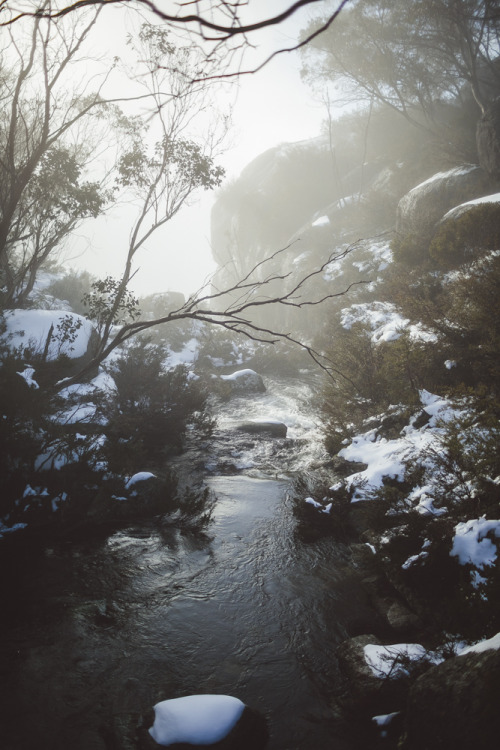 theadventuretruck:  We started to make our way down from Mount Buffalo, stopping at Crystal Brook Fa