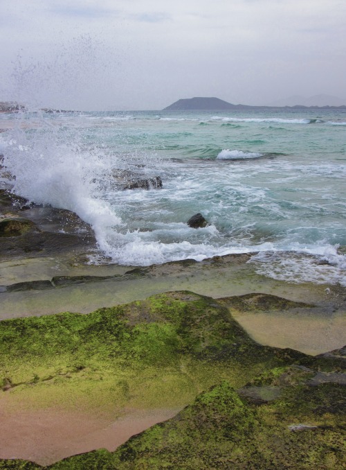 vwcampervan-aldridge: Stormy seas, Fuerteventura, Canary Islands All Original Photography by 