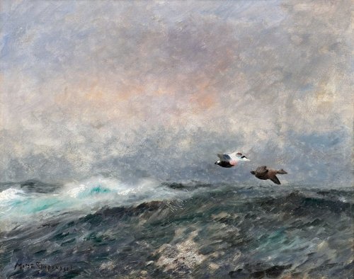 Eiders in Flight    -   Mosse Stoopendaal Swedish, 1901-1948Oil on canvas 44 x 55 cm.  