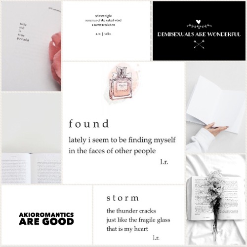 whatsnew-lgbtq:Akioromantic demisexual poet moodboard