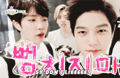 Yibo Please