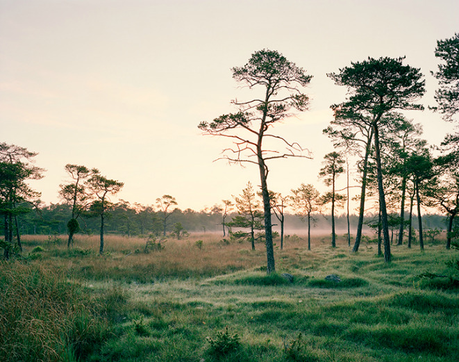razorshapes:  Felix Odell - Landscapes