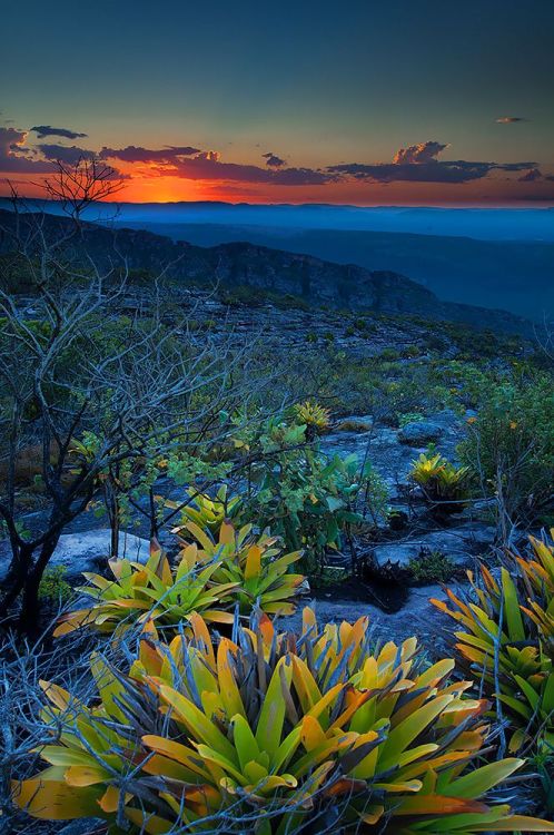 coiour-my-world:Morro do Pai Inacio, Chapada Diamantina, Brasil | ©Marcio Dufranc