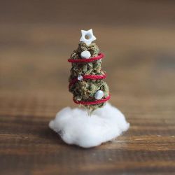 weedporndaily:  When your weed gets into the holiday spirit. 🌟🍁🎄by @missmaryjaneco