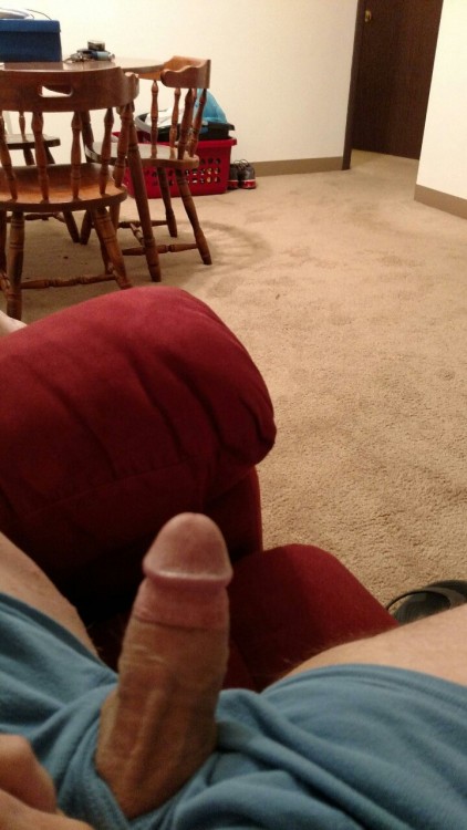 limebear69: Hello!  porn pictures