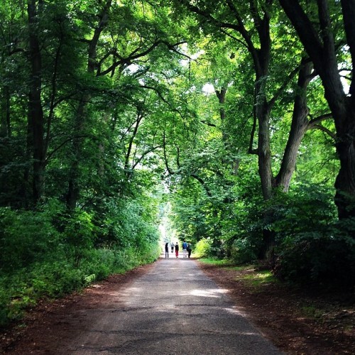 The treck to my favourite lake, felt like the road less travelled, it was amazingly beautiful! #trav