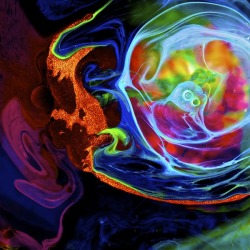 f-l-e-u-r-d-e-l-y-s:   Mesmerizing Psychedelic