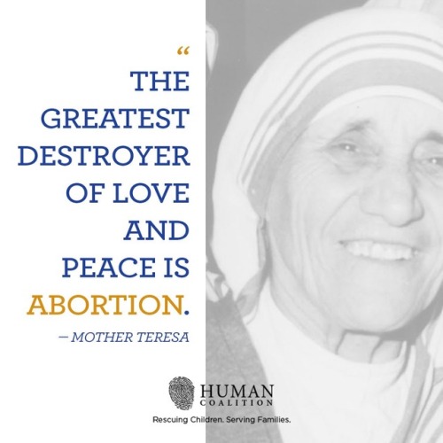 craigtowens:“The greatest destroyer of love and peace is abortion.” —Mother Teresa