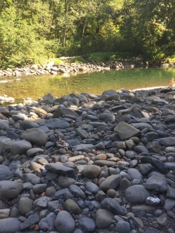 Camping out by myself enjoying the summer weather! Love my PNW