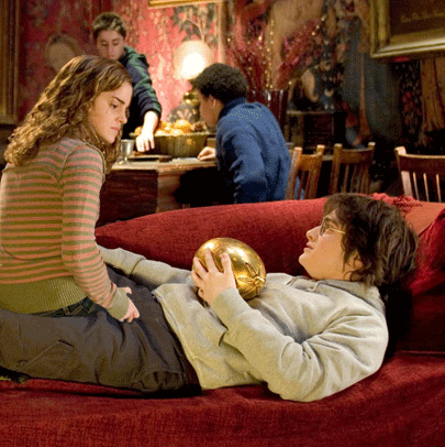 jaidefinichon:  Ay Harryngui, tenemos que estudiar!