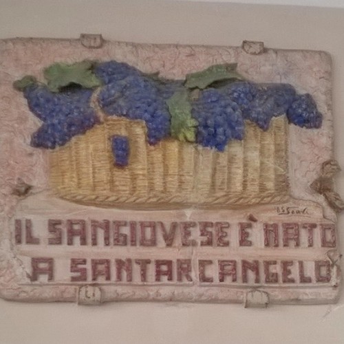 Sangiovese.. #santarcangelo #Italia #vino #history #italy