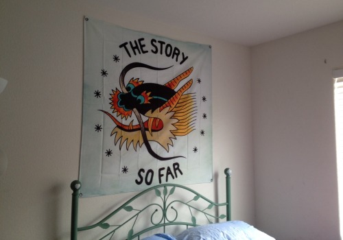 ghosts-inthewallls:  My tssf flag I got at warped tour yesterday . I might change it to my real friends one though Idk 