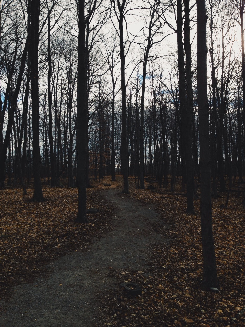 adventored:  nature 