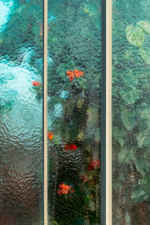 mymodernmet:  Elegant Greenhouse Photos Mimic the Ethereality of Oil Paintings