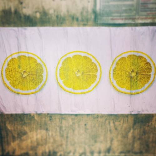 #stoneroses #thestoneroses #wakeupworld #mantis #flyposter...