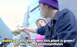 ygdomination:  5/∞ reasons to love ikon: they’re really smart