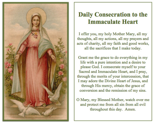 catholic-christian:Daily Consecration to the Immaculate Heart